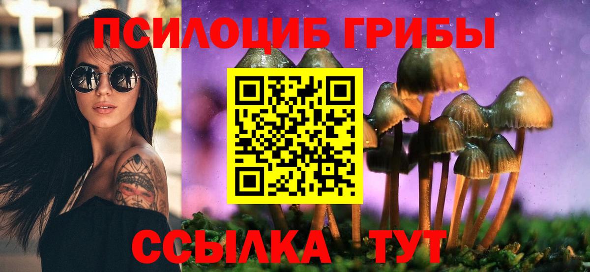 Чебаркуль  Псилоцибиновые грибы мухоморы  Вход с VPN 