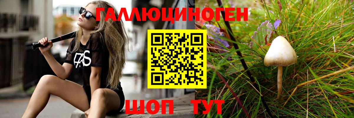 Псилоцибиновые грибы прущие грибы Чебаркуль
